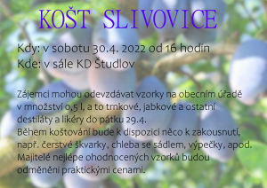 Plakát