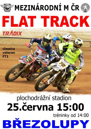 Plakát