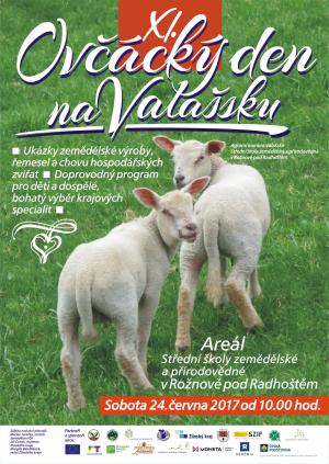 Ovčácký den na Valašsku - Rožnov pod Radhoštěm 24. června 2017 1